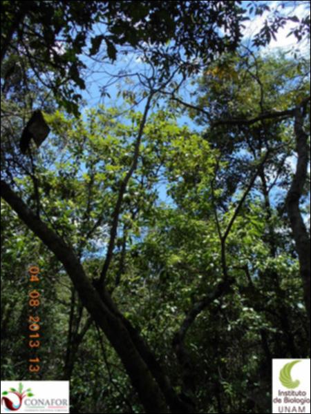 73508_S1_ARC_20130804_017_001.jpg.jpg