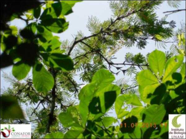 75336_S3_ARC_20130711_001_003.jpg.jpg