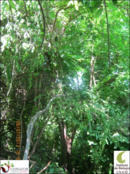 77662_S1_ARC_20130705_024_001.jpg.jpg