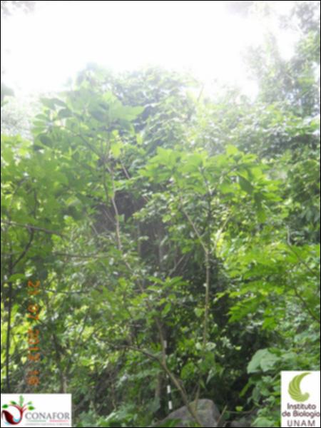 76404_S4_ARC_20130721_004_001.jpg.jpg
