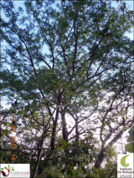 67557_S4_ARC_20130927_010_002.jpg.jpg