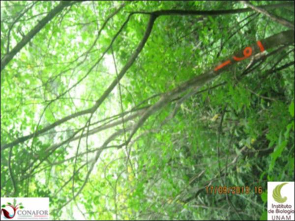 33646_S4_ARC_20130918_009.jpg.jpg