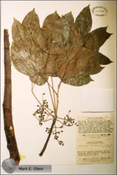10106.jpg.jpg