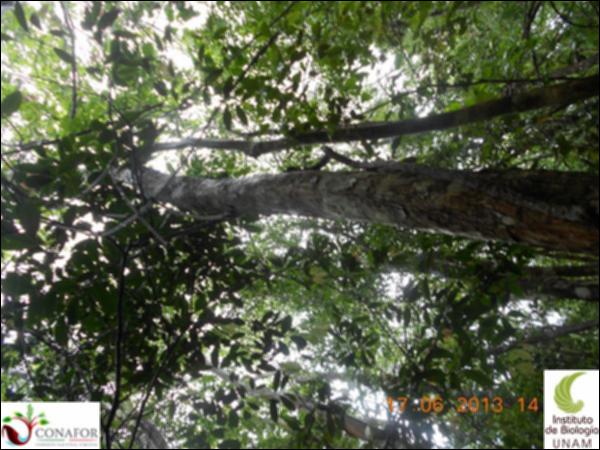 51199_S1_ARC_20130614_015_001.jpg.jpg