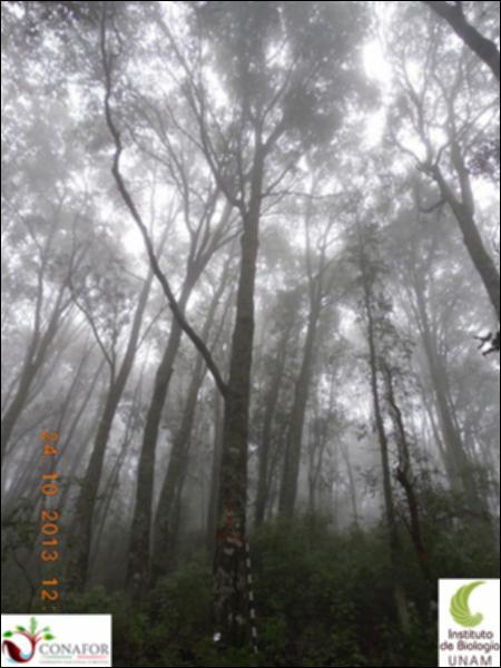 58568_S1_ARC_20131024_008_001.jpg.jpg