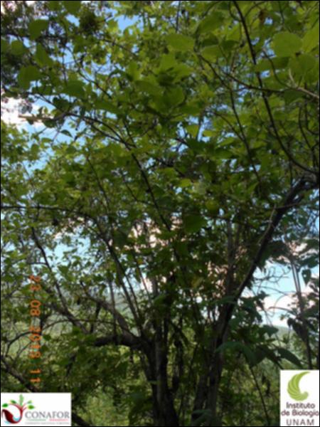 70487_S1_ARC_20130823_021_002.jpg.jpg