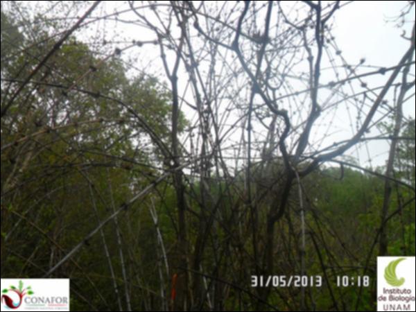 75788_S2_ARC_20130531_001_001.jpg.jpg