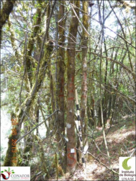 72490_S3_ARC_20130528_010_001.jpg.jpg