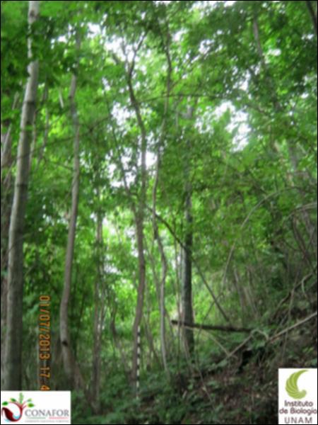 77515_S1_ARC_20130630_002_001.jpg.jpg