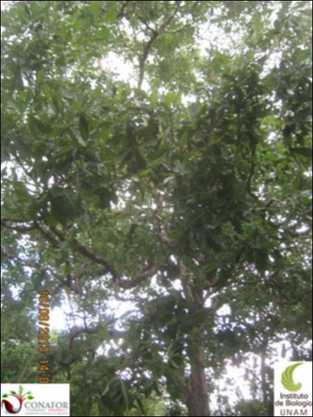 74313_S1_ARC_20130819_001_002.jpg.jpg