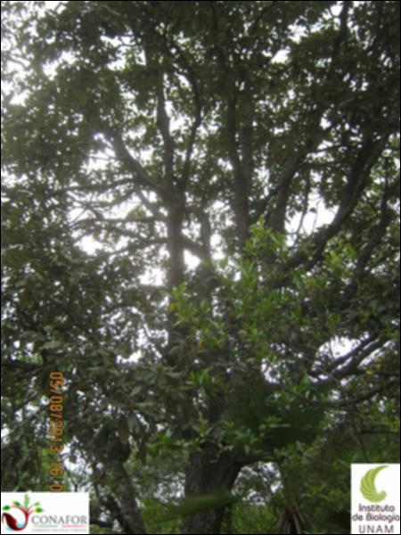 72894_S1_ARC_20130805_001_002.jpg.jpg