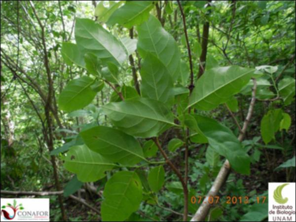75134_S2_HJ2_20130706_027_001.jpg.jpg