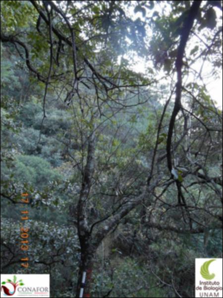 52997_S1_ARC_20131117_007_002.jpg.jpg