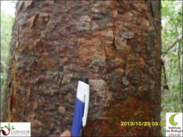 58151_S4_CRT_20131023_007_001.jpg.jpg
