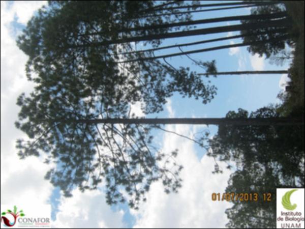 35109_S2_ARC_20130701_008.jpg.jpg