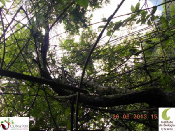 77178_S1_ARC_20130626_008_002.jpg.jpg