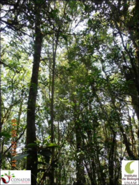 68901_S1_ARC_20130430_007_002.jpg.jpg