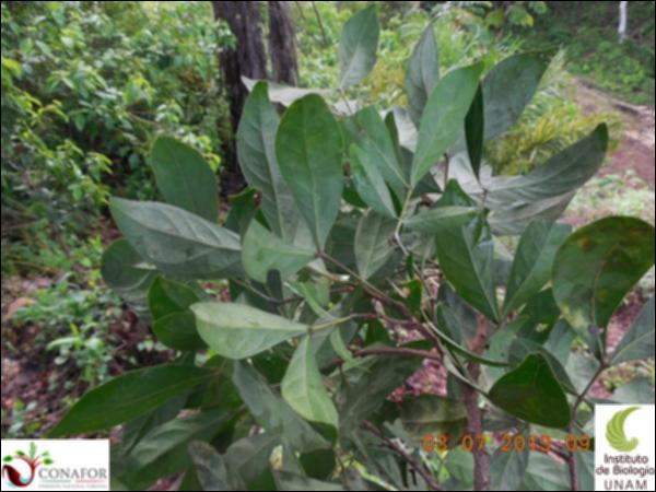 77168_EX_HJ2_20130702_999_001.jpg.jpg