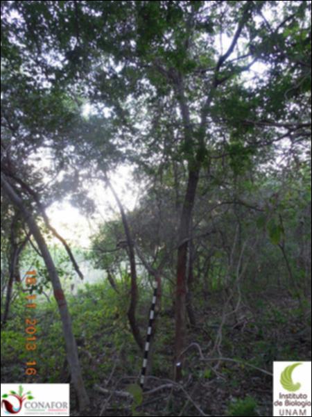 65189_S1_ARC_20131118_013_001.jpg.jpg