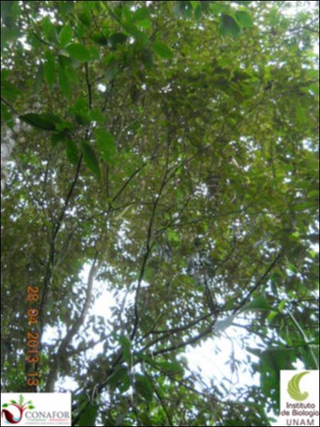 64717_S1_ARC_20130427_018_002.jpg.jpg