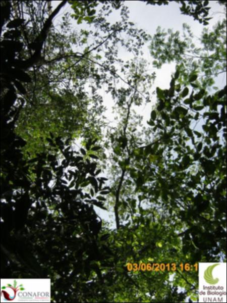 48813_S2_ARC_20130602_038.jpg.jpg