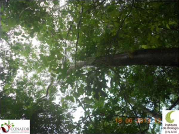 50962_S1_ARC_20130618_002_001.jpg.jpg