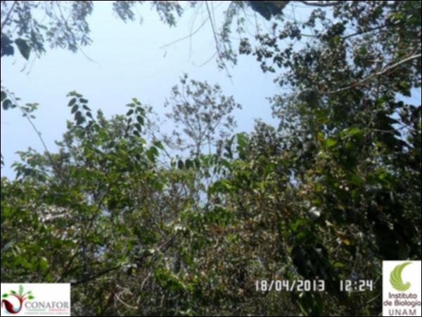 73813_S3_ARC_20130418_019_001.jpg.jpg