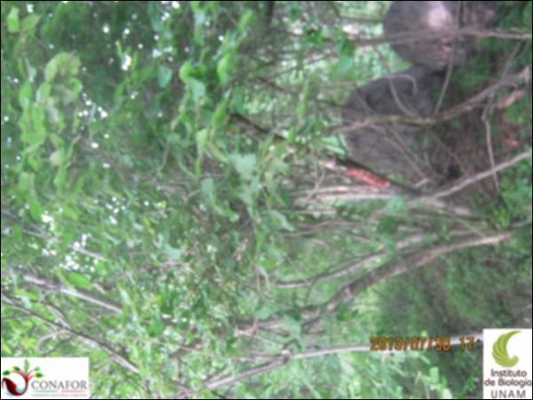 46421_S2_ARC_20130730_018.jpg.jpg