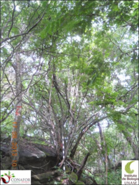 74298_S3_ARC_20130816_005_001.jpg.jpg
