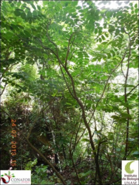 75129_S2_ARC_20130724_005_001.jpg.jpg