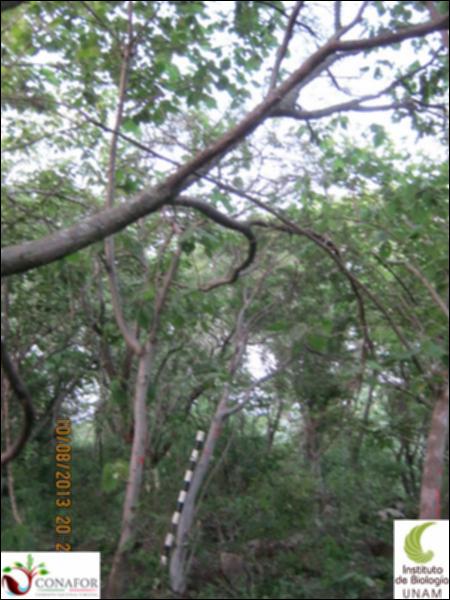 57976_S3_ARC_20130808_012.jpg.jpg