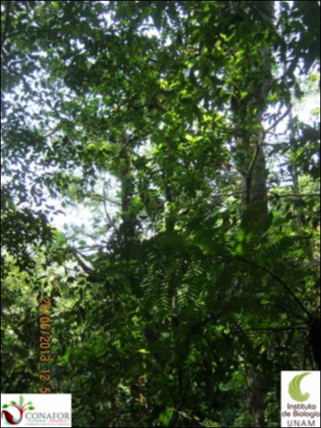 74388_S1_ARC_20130519_017_002.jpg.jpg