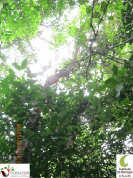 69391_S2_ARC_20130505_001_002.jpg.jpg