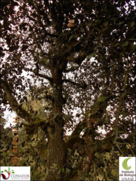 71842_S1_ARC_20131111_001_002.jpg.jpg