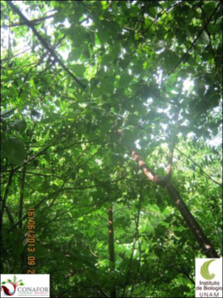 74793_S1_ARC_20130615_007_002.jpg.jpg