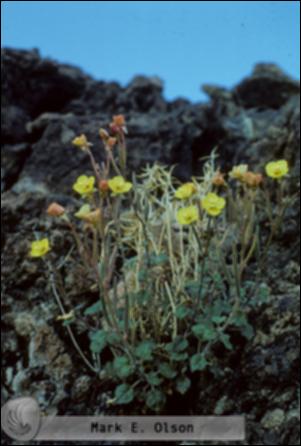 805.jpg.jpg