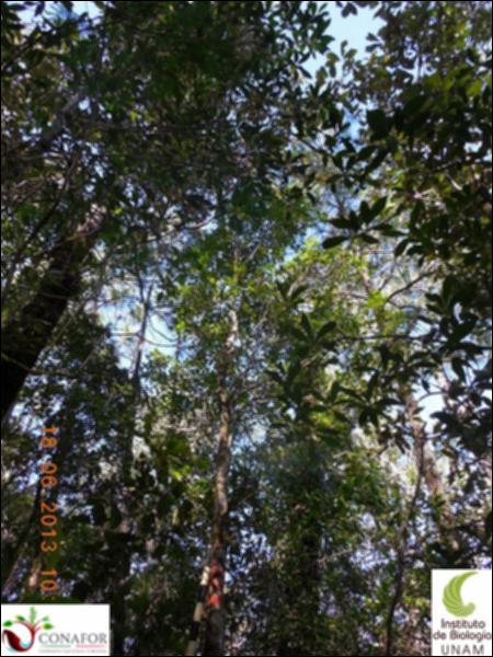 76954_S2_ARC_20130617_018_002.jpg.jpg