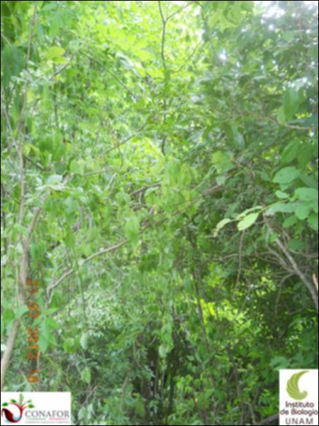 76404_S2_ARC_20130721_010_001.jpg.jpg