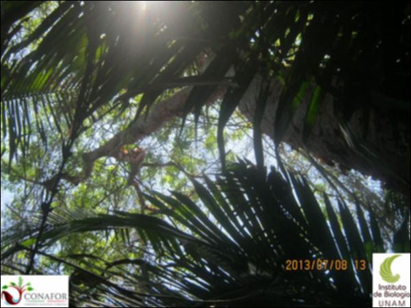 50076_S1_ARC_20130708_009.jpg.jpg