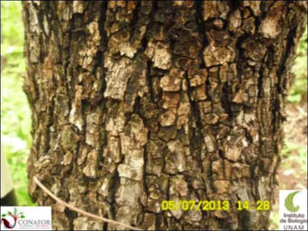 62572_S2_CRT_20130705_010.jpg.jpg