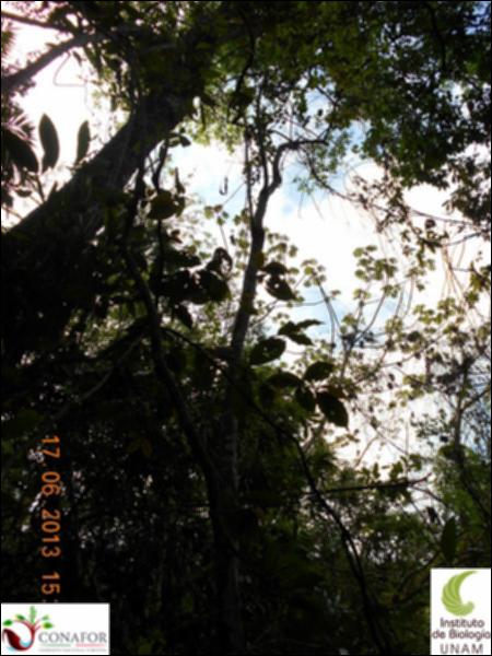 77446_S4_ARC_20130617_023_002.jpg.jpg