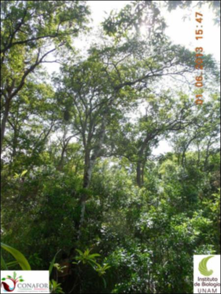 72934_S2_ARC_20130601_005_001.jpg.jpg