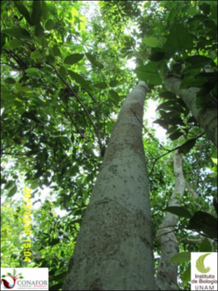 62244_S1_ARC_20130509_010_001.jpg.jpg