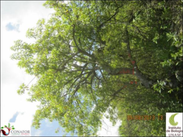 58026_S1_ARC_20130805_006.jpg.jpg