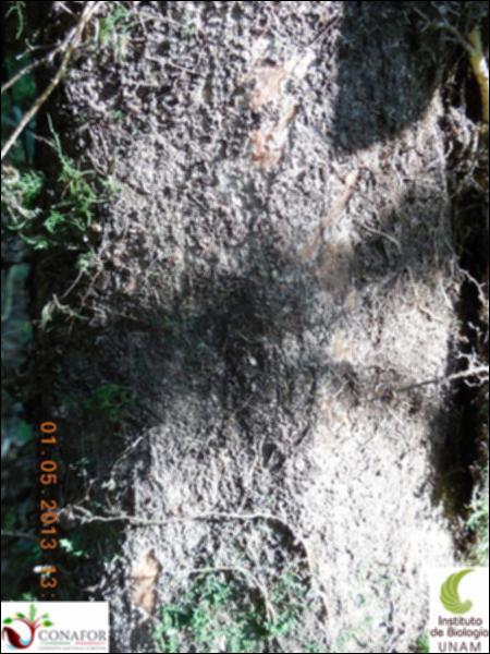 68901_S3_CRT_20130430_004_001.jpg.jpg
