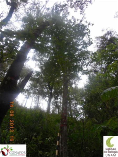 72879_S1_ARC_20130814_021_002.jpg.jpg
