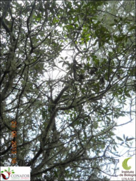 76969_S1_ARC_20130623_003_002.jpg.jpg