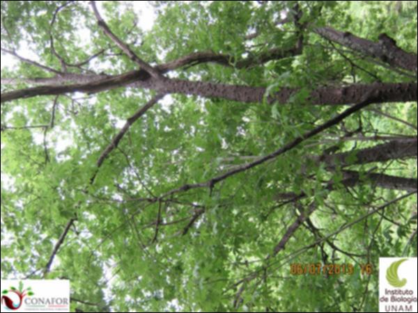 65159_S4_ARC_20130706_017.jpg.jpg