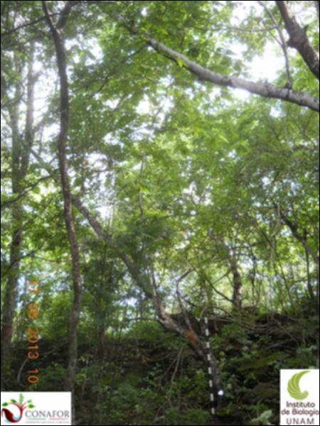 74298_S3_ARC_20130816_004_001.jpg.jpg