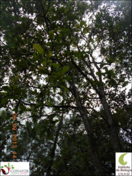 71541_S1_ARC_20130903_002_002.jpg.jpg